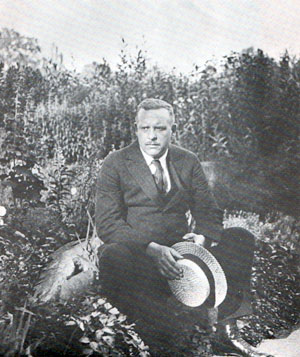 Aforismos de Wallace Stevens