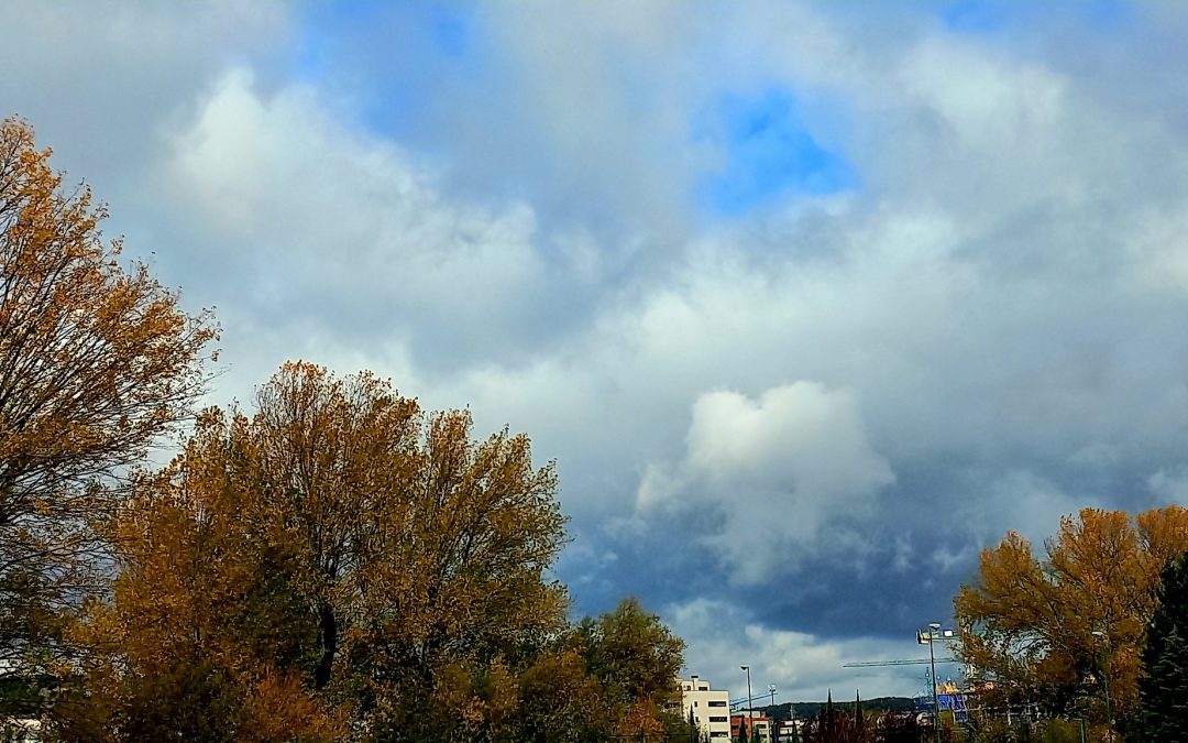 Comer con los pobres