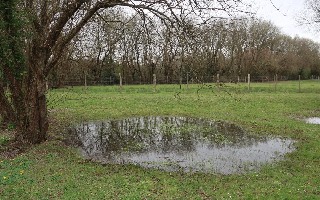 Irún, parque de Plaiaundi