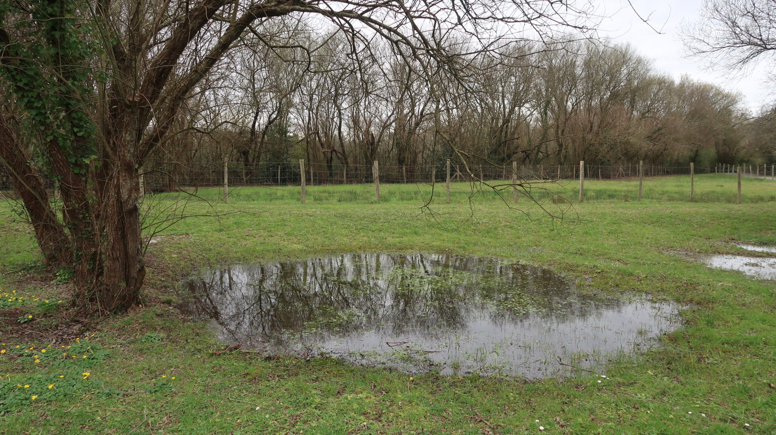 Irún, parque de Plaiaundi