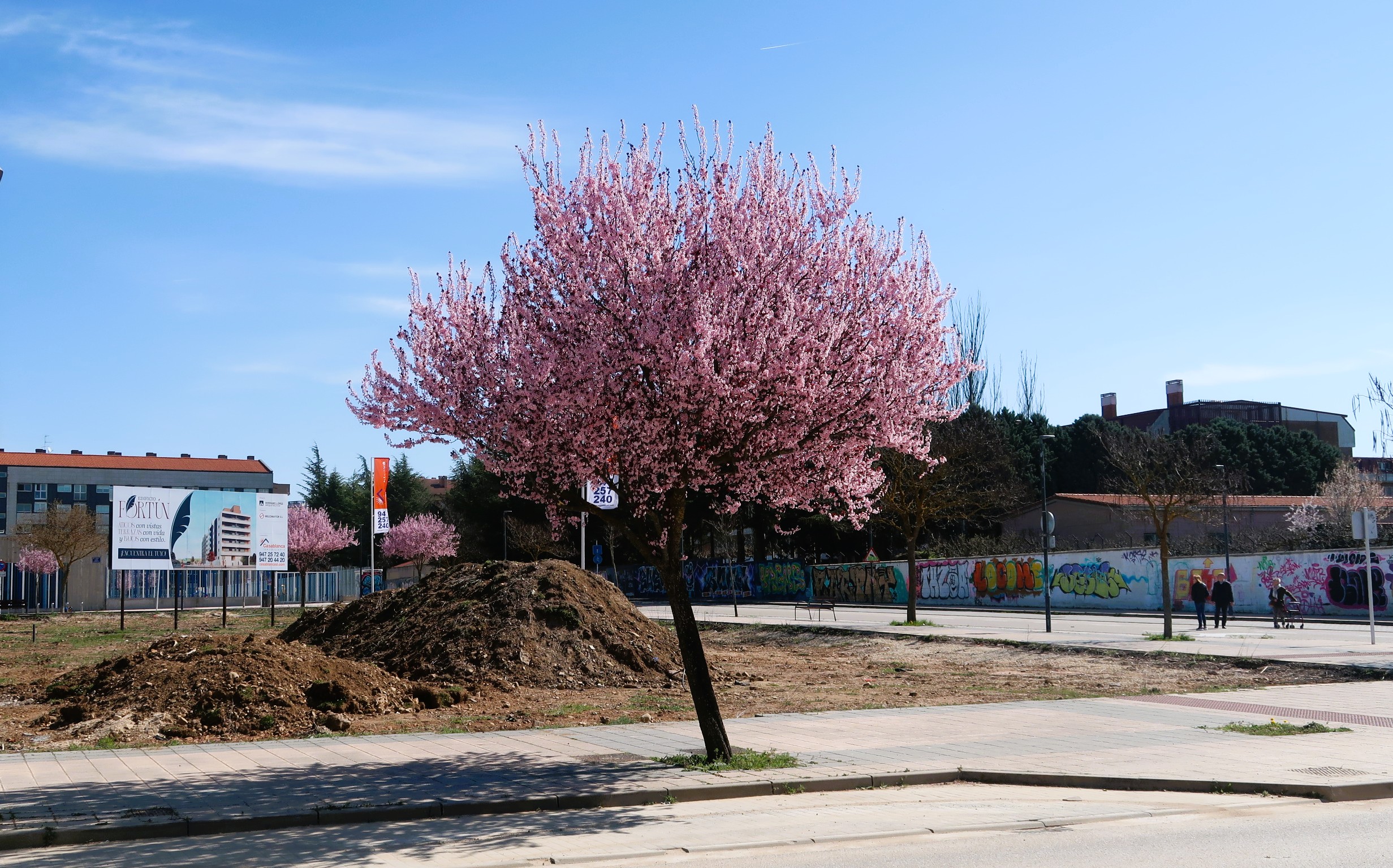 Burgos, primavera entre el cemento